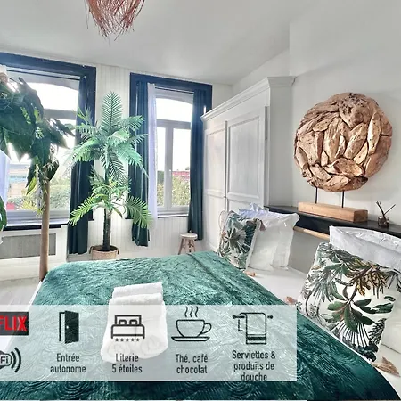 04 - St Barth Style Jungle トゥールコワン