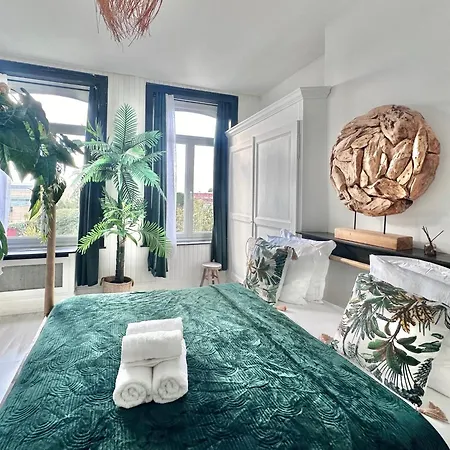 ゲストハウス 04 - St Barth Style Jungle